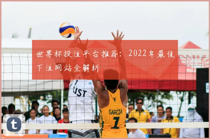 世界杯投注平台推荐：2022年最佳下注网站全解析