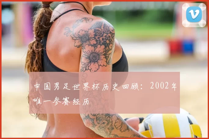 中国男足世界杯历史回顾：2002年唯一参赛经历