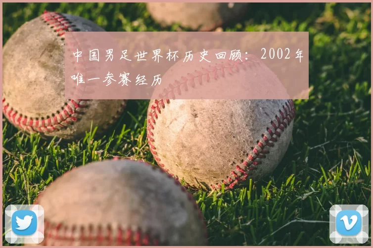 中国男足世界杯历史回顾：2002年唯一参赛经历