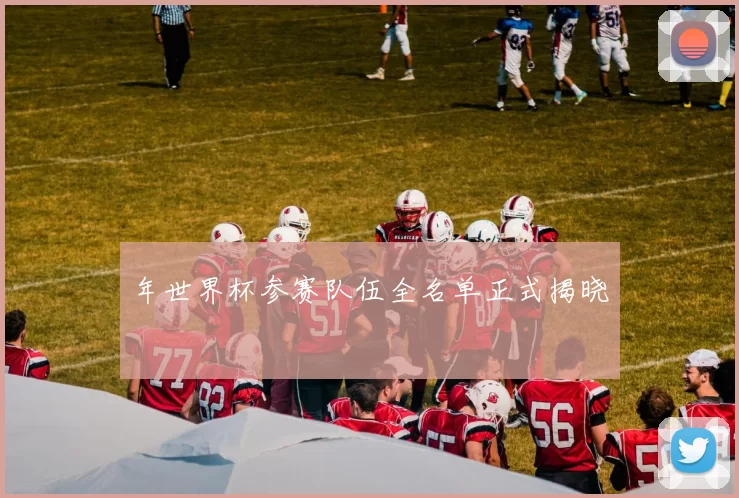 年世界杯参赛队伍全名单正式揭晓