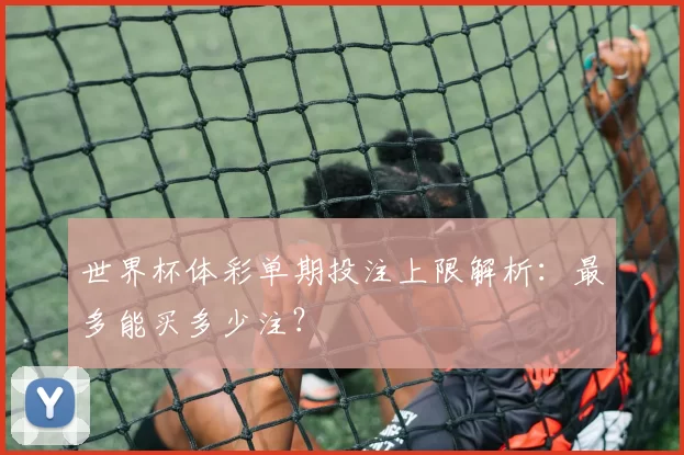 世界杯体彩单期投注上限解析：最多能买多少注？