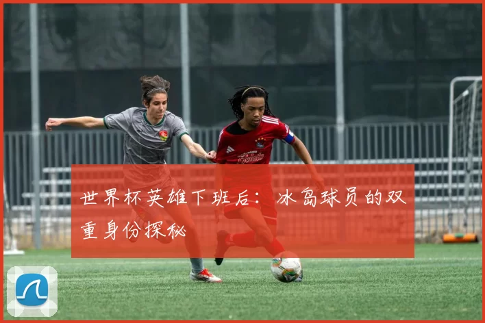 世界杯英雄下班后：冰岛球员的双重身份探秘