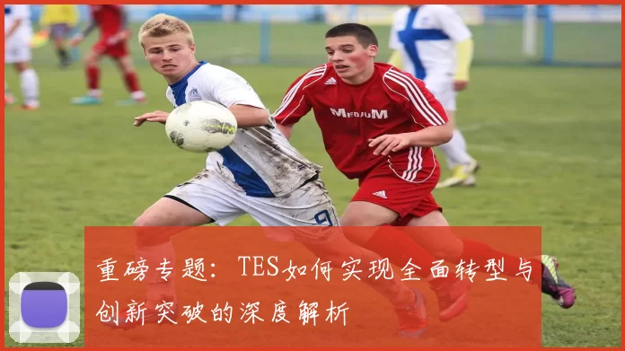 重磅专题：TES如何实现全面转型与创新突破的深度解析