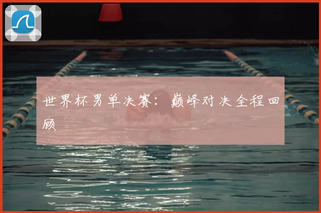 世界杯男单决赛:巅峰对决全程回顾
