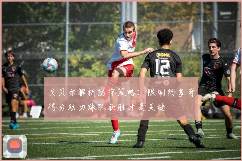 戈贝尔解析防守策略：限制约基奇得分助力球队获胜才是关键