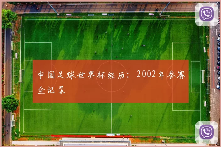 中国足球世界杯经历:2002年参赛全记录