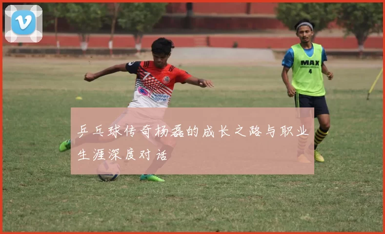 乒乓球传奇杨磊的成长之路与职业生涯深度对话