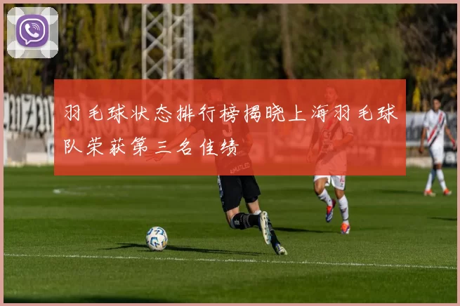 羽毛球状态排行榜揭晓上海羽毛球队荣获第三名佳绩
