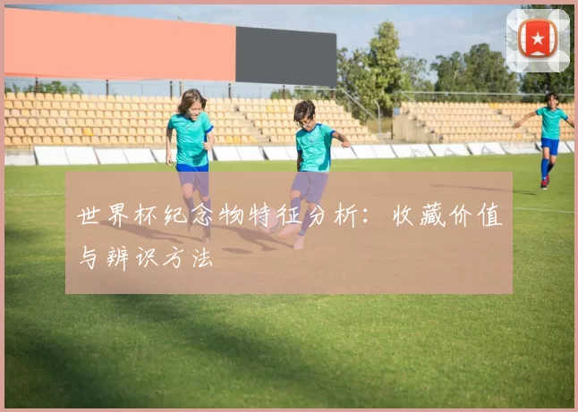 世界杯纪念物特征分析:收藏价值与辨识方法