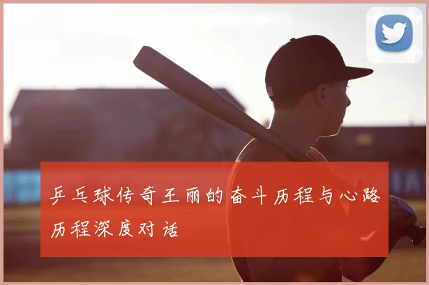 乒乓球传奇王丽的奋斗历程与心路历程深度对话