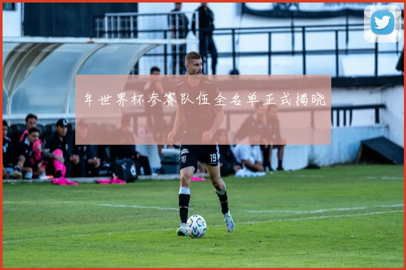 年世界杯参赛队伍全名单正式揭晓