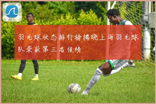 羽毛球状态排行榜揭晓上海羽毛球队荣获第三名佳绩