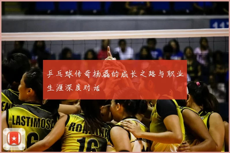 乒乓球传奇杨磊的成长之路与职业生涯深度对话