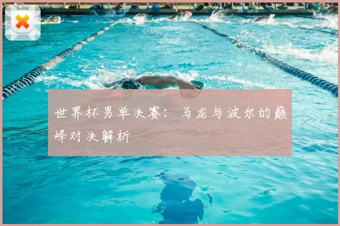 世界杯男单决赛:马龙与波尔的巅峰对决解析