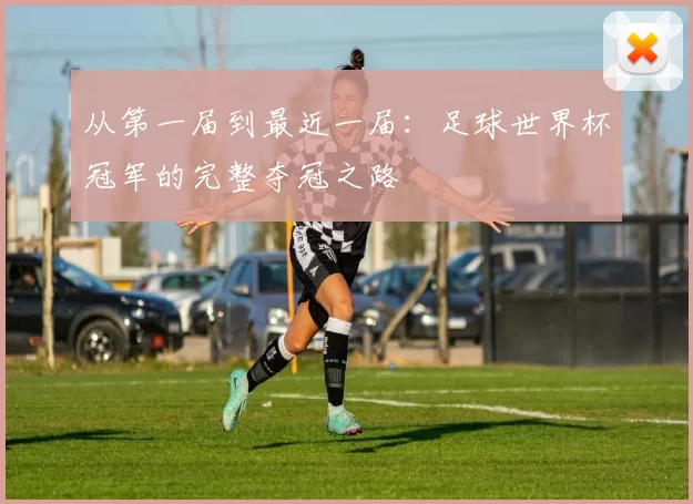 从第一届到最近一届：足球世界杯冠军的完整夺冠之路