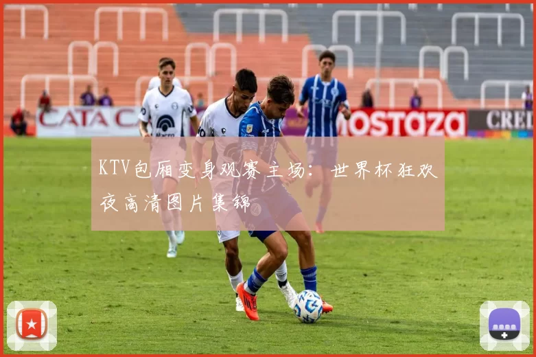 KTV包厢变身观赛主场:世界杯狂欢夜高清图片集锦