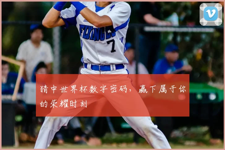 猜中世界杯数字密码,赢下属于你的荣耀时刻