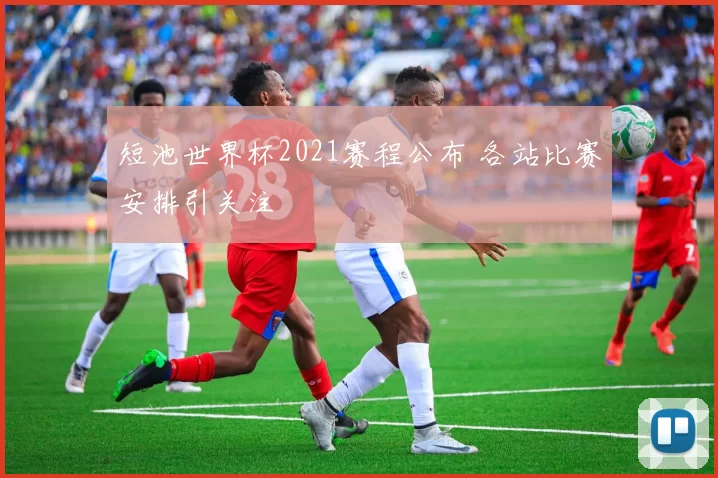 短池世界杯2021赛程公布 各站比赛安排引关注