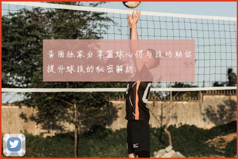 黄丽独家分享篮球心得与技巧助你提升球技的秘密解析