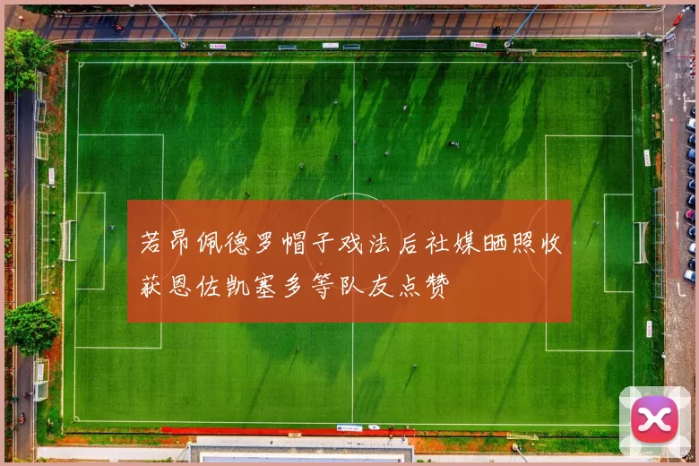 若昂佩德罗帽子戏法后社媒晒照收获恩佐凯塞多等队友点赞