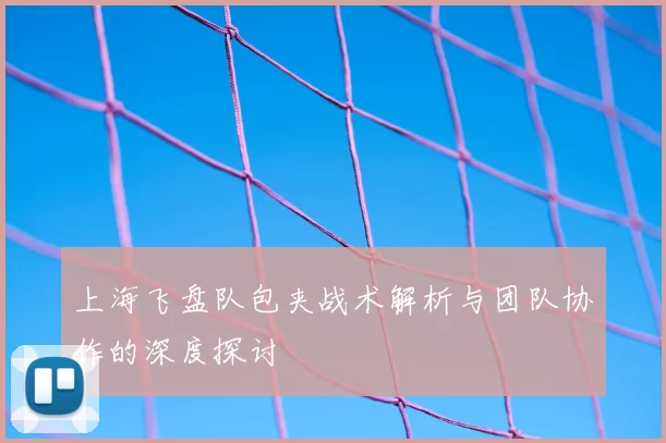 上海飞盘队包夹战术解析与团队协作的深度探讨